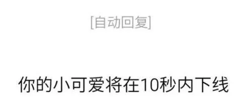 【自动回复】你的小可爱将在10秒内下线