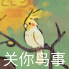 关你鸟事（关你鸟事）