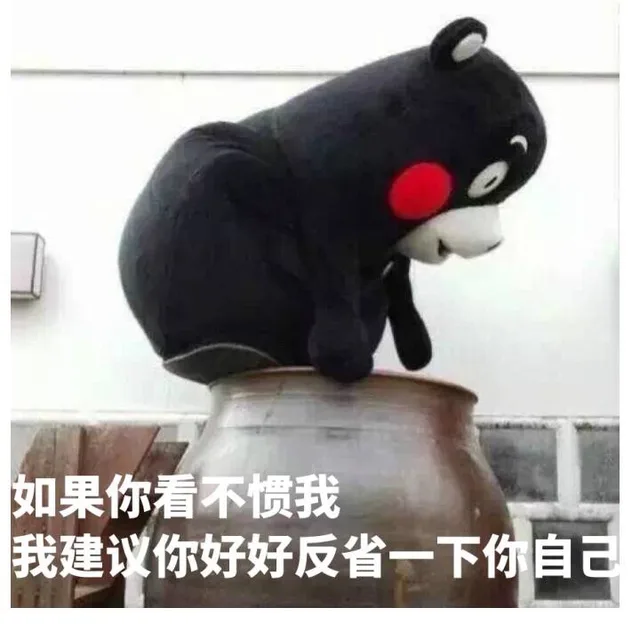 如果你看不惯我，我建议你好好反省一下你自己