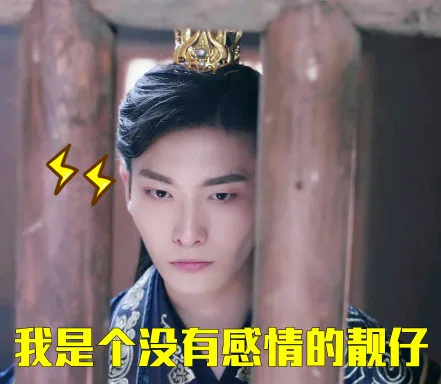 我是个没有感情的靓仔