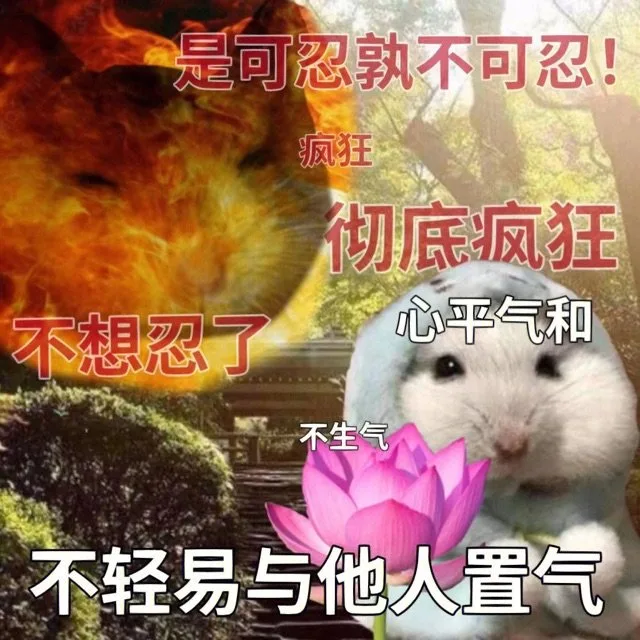 是可忍敦不可忍！疯狂彻底疯狂不想忍了心平气和不生气不轻易与他人置气(鼠鼠表情包)（是可忍敦不可忍！疯狂彻底疯狂不想忍了心平气和不生气不轻易与他人置气(鼠鼠表情包)）