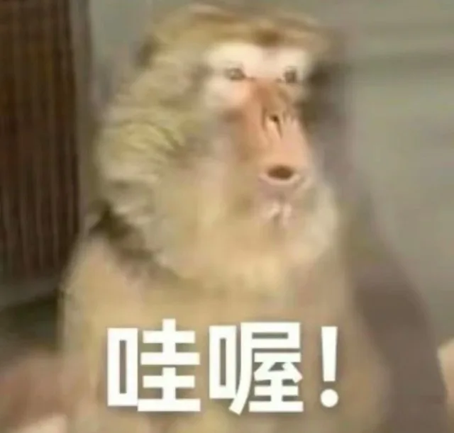 哇喔！（哇喔！）