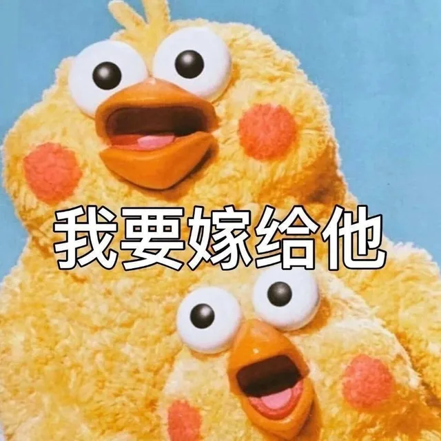 鹦鹉兄弟：我要嫁给他