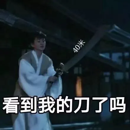 看到我的刀了吗（看到我的刀了吗）