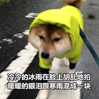 冷冷的冰雨在脸上胡乱地拍，暖暖的眼泪跟寒雨混成一块