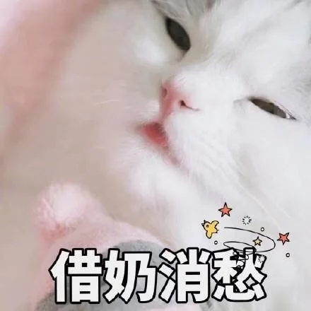 借奶消愁