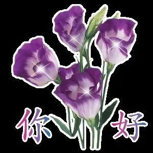 你好