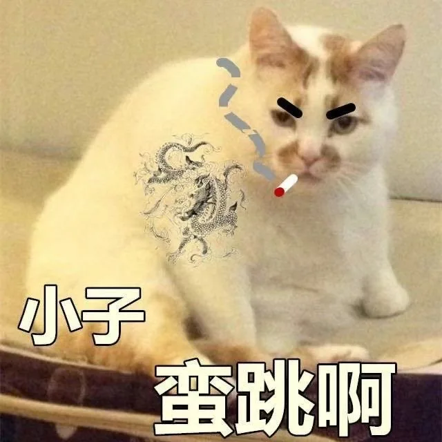 小子蛮跳啊（小子蛮跳啊）