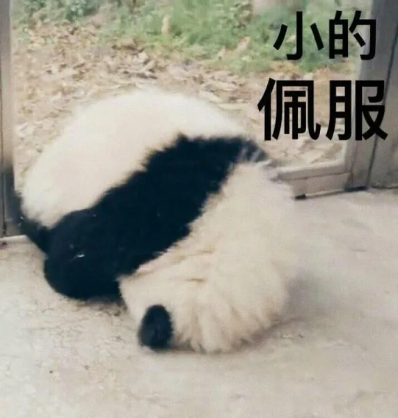 小的佩服（小的佩服）