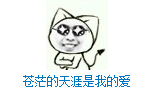 什么样的节奏是最呀最摇摆 什么样的歌词都是最开怀 苍茫的天涯是我的爱 绵绵的青山脚下花正开