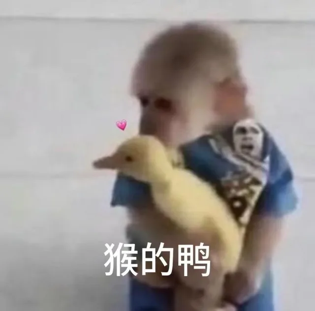 猴的鸭（猴的鸭）
