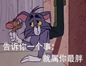 告诉你一个事就属你最胖
