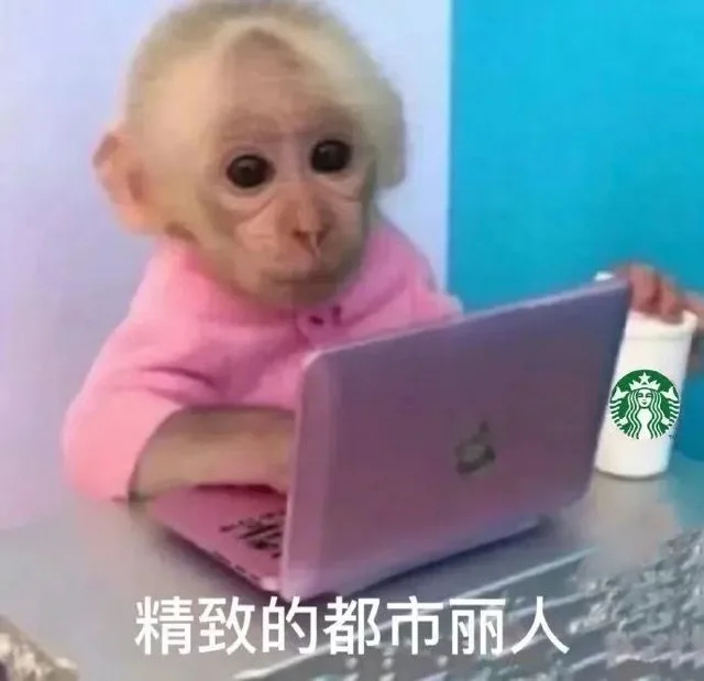 精致的都市丽人(吗喽表情包)（精致的都市丽人(吗喽表情包)）