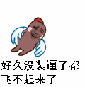 好久没装逼了都飞不起来了（好久没装逼了都飞不起来了）