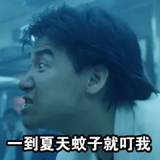 一到夏天蚊子就叮我