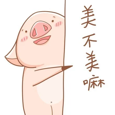 美不美嘛（美不美嘛）