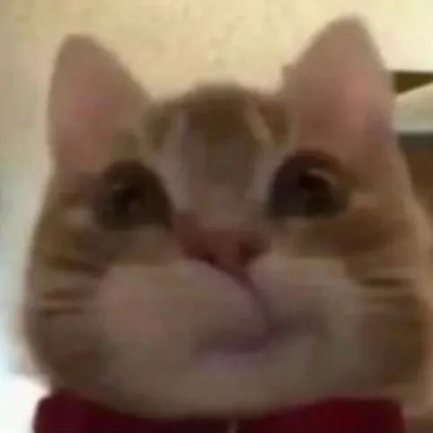 歪嘴猫猫表情包（歪嘴猫猫表情包）