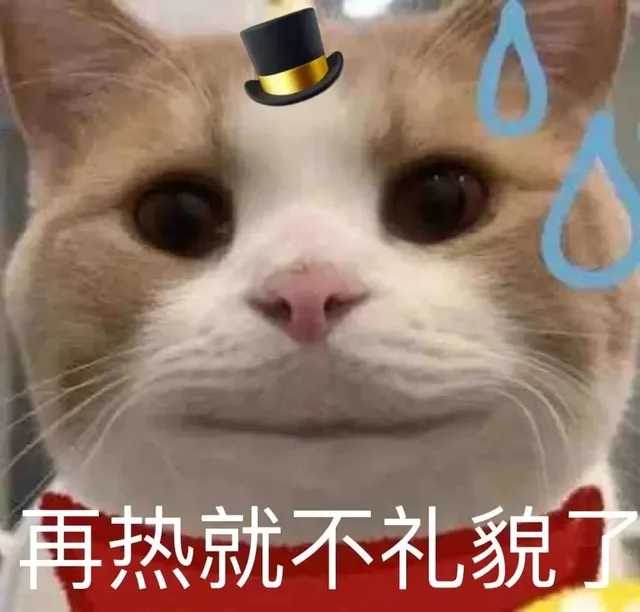 再热就不礼貌了（再热就不礼貌了）