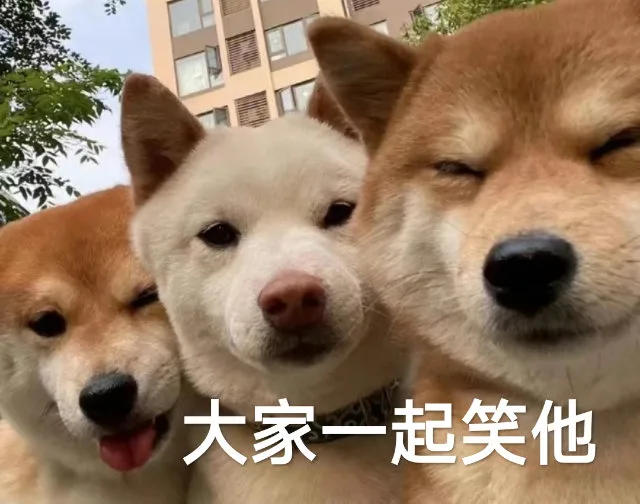 大家一起笑他（大家一起笑他）