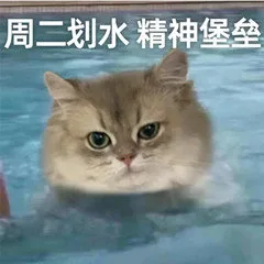周二划水精神堡垒（周二划水精神堡垒）