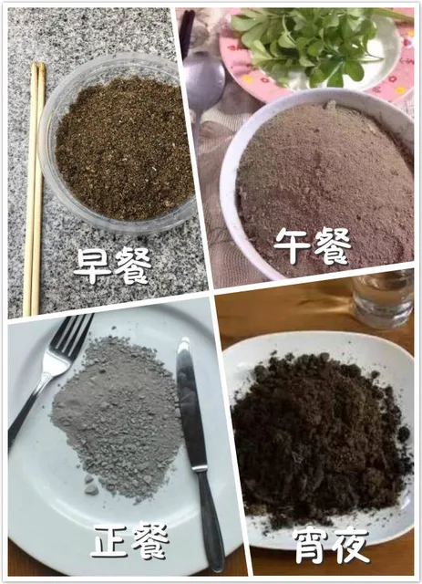 这个月的菜单——土！剁手一时爽，转眼就吃土_吃土表情包