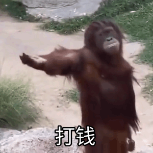打钱（打钱）