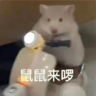 鼠鼠来啰（鼠鼠来啰）