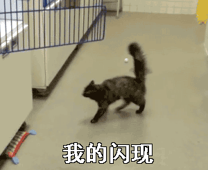 我的闪现