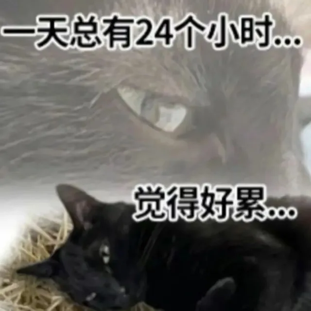 一天总有24个小时…觉得好累（一天总有24个小时…觉得好累）