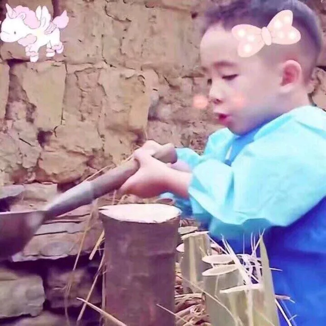 喂猪的我