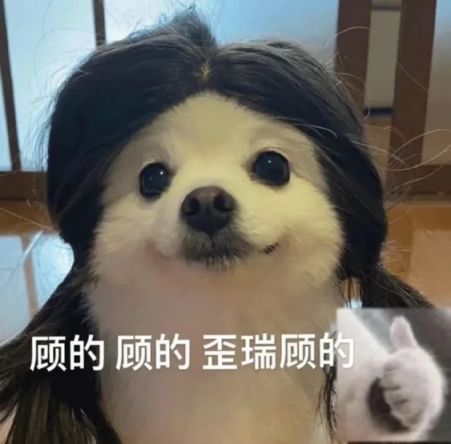 顾的顾的歪瑞顾的（顾的顾的歪瑞顾的）