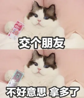 都是喵星人表情包，一起吸猫_猫咪表情包