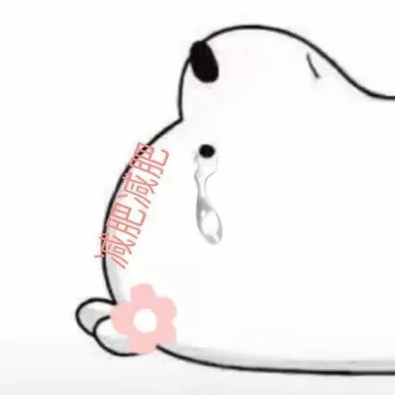 朋友圈小熊