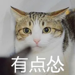 有点怂（有点怂）