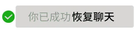 你已成功恢复聊天