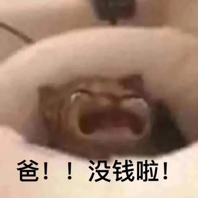 爸!!没钱啦!（爸!!没钱啦!）
