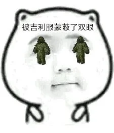 被吉利服蒙敞了双眼
