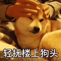 柴犬动图表情包_柴犬_doge_动图