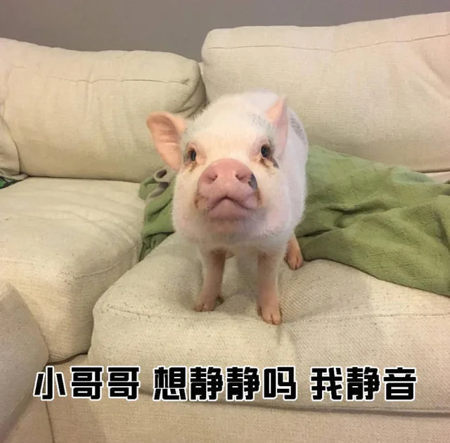 小哥哥想静静吗我静音（小哥哥想静静吗我静音）