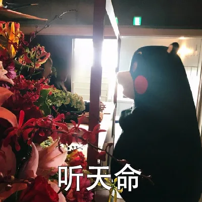 听天命