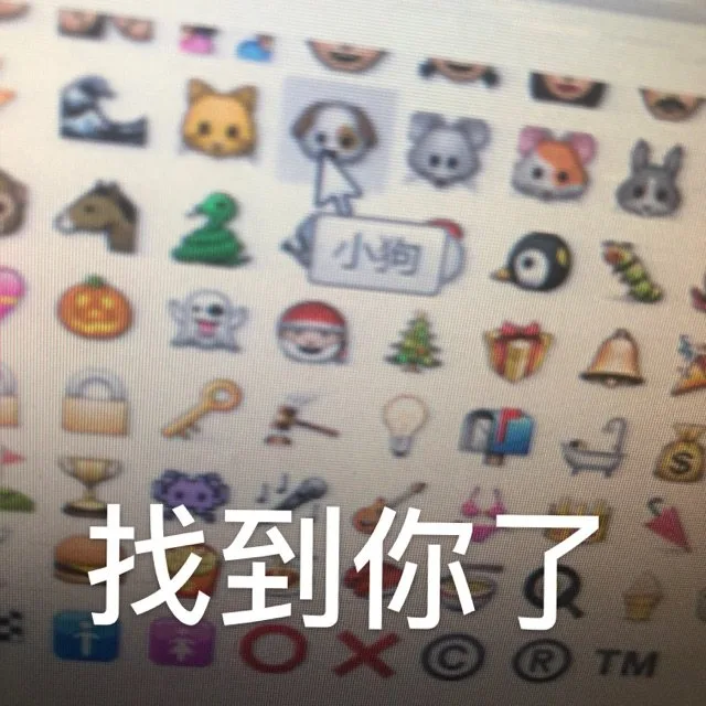 小狗S找到你了●XRTM（小狗S找到你了●XRTM）