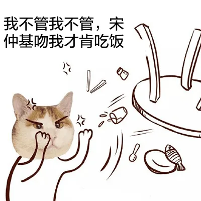 我不管我不管，宋仲基吻我才肯吃饭（掀桌子）