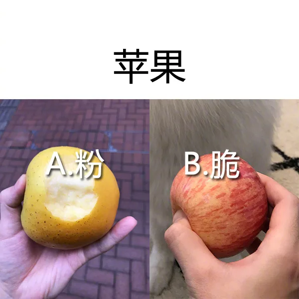苹果：A粉B脆（苹果：A粉B脆）