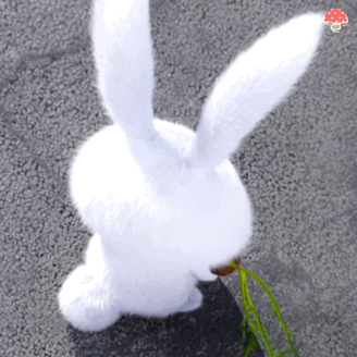转身（兔子表情包）（转身（兔子表情包））