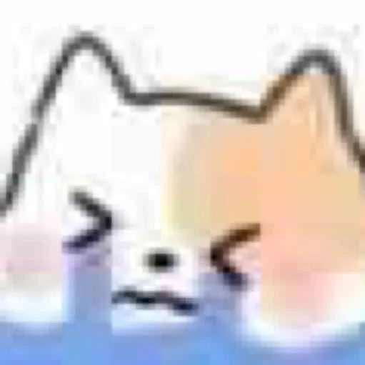 高糊小猫泪了