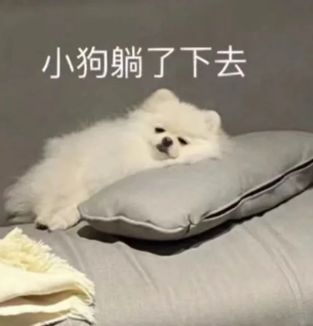 小狗躺了下去（小狗躺了下去）