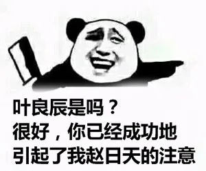 叶良辰是吗？很好，你已经成功地引起了我赵日天的注意（叶良辰是吗？很好，你已经成功地引起了我赵日天的注意）