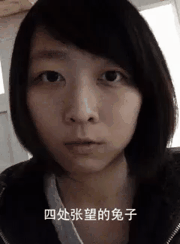 四处张望的兔子