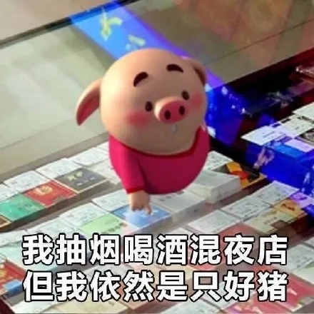 我抽烟喝酒混夜店，但我依然是只好猪
