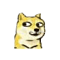 doge小黄狗转眼镜（doge小黄狗转眼镜）